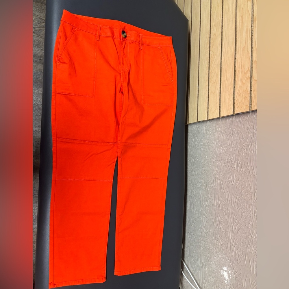 Cabi Orange Pants